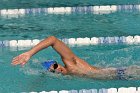 Swimming vs Babson  Wheaton College Swimming vs Babson College. - Photo By: KEITH NORDSTROM : Wheaton, Swimming, Babson